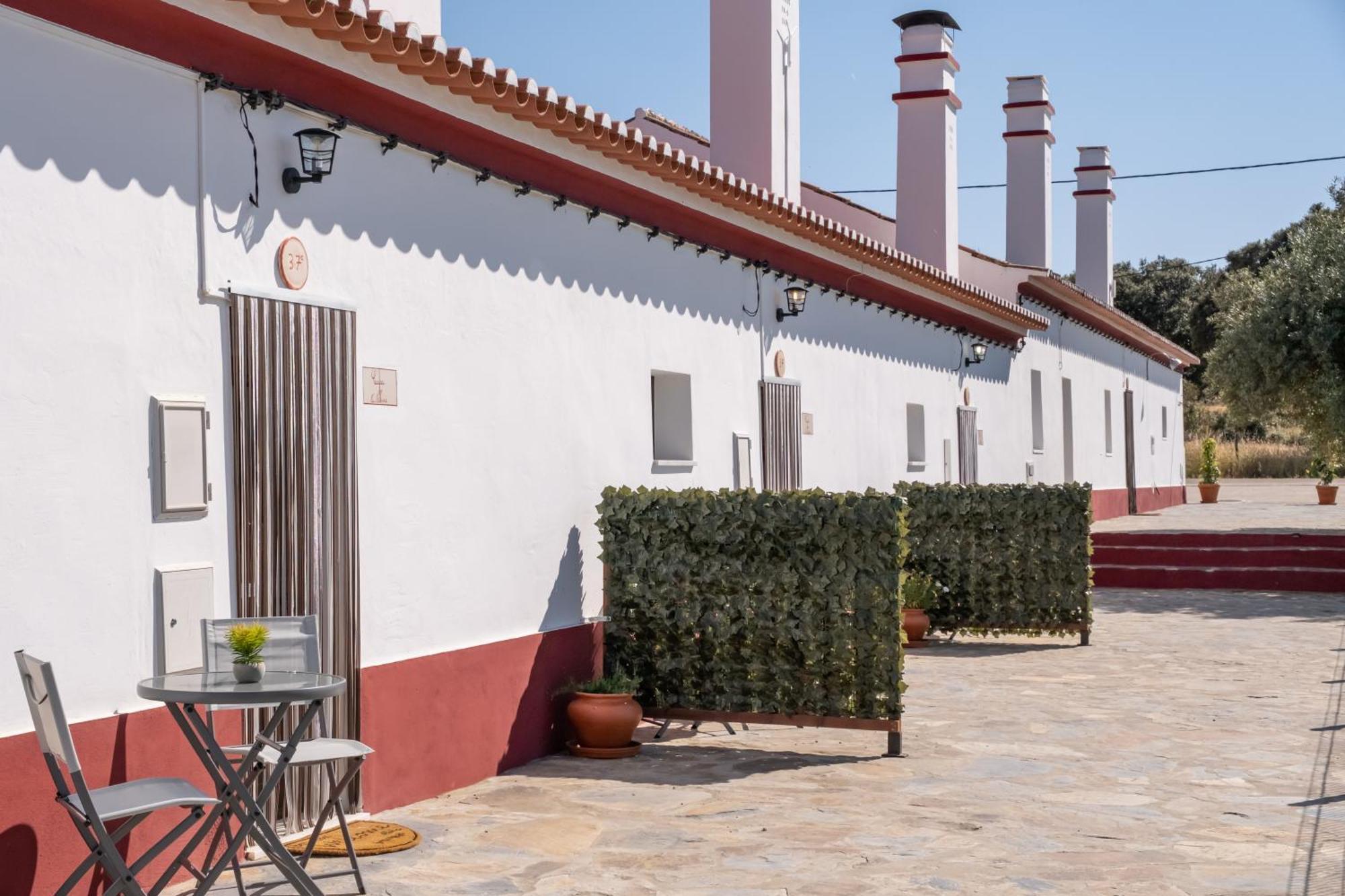 Casa Da Ritinha - Praia Azenhas D El Rey Montes Juntos Екстериор снимка